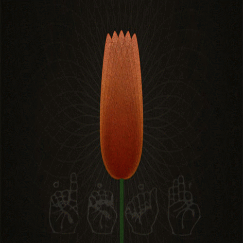 The Doctrines of Grace